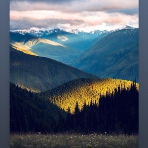 Always willing the take offers !!